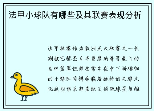法甲小球队有哪些及其联赛表现分析
