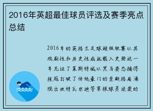2016年英超最佳球员评选及赛季亮点总结